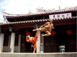 Culture du combat en Chine