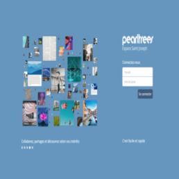 Site de pearltrees
